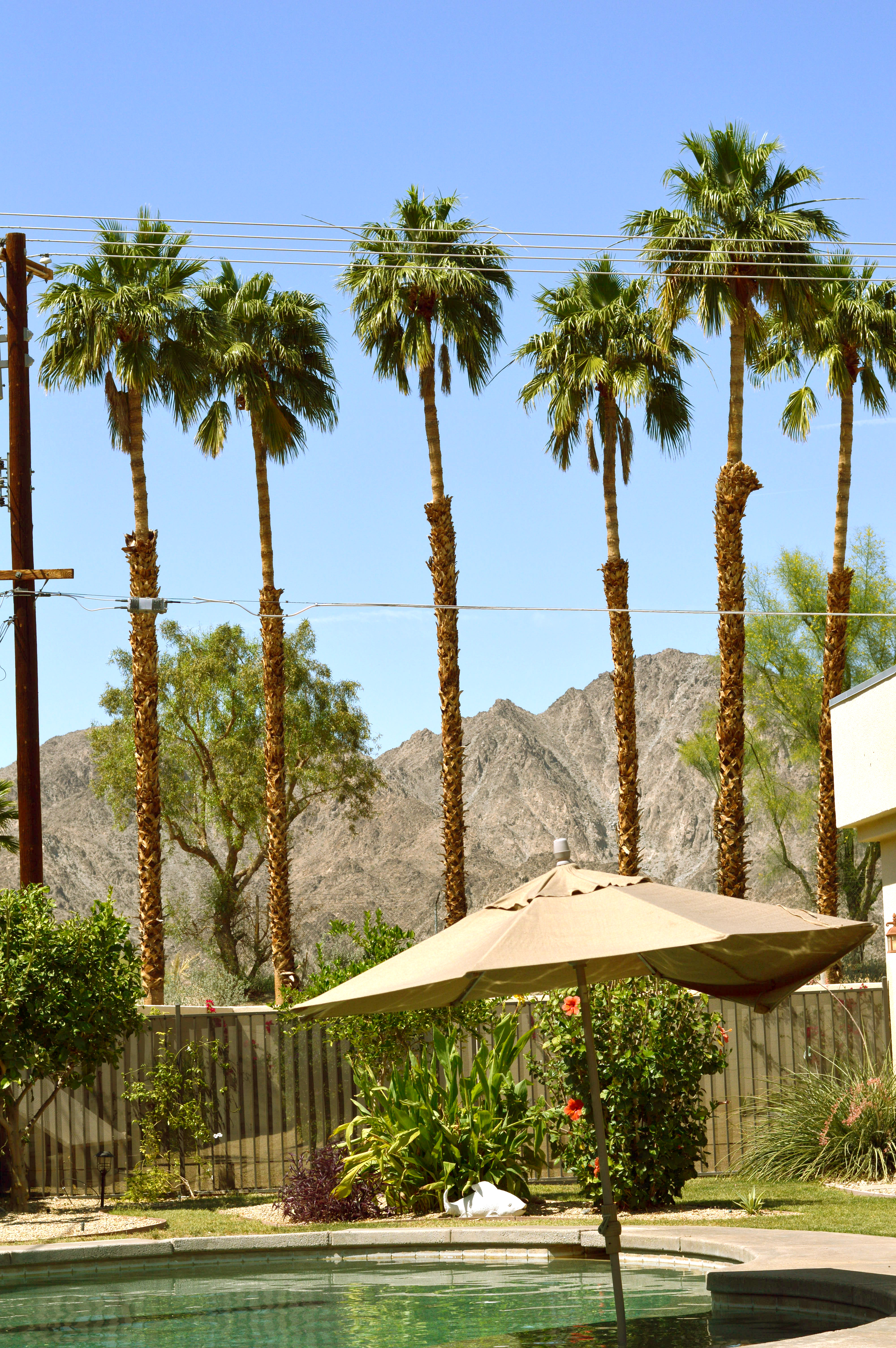 Pool & Palms // Nattie on the Road