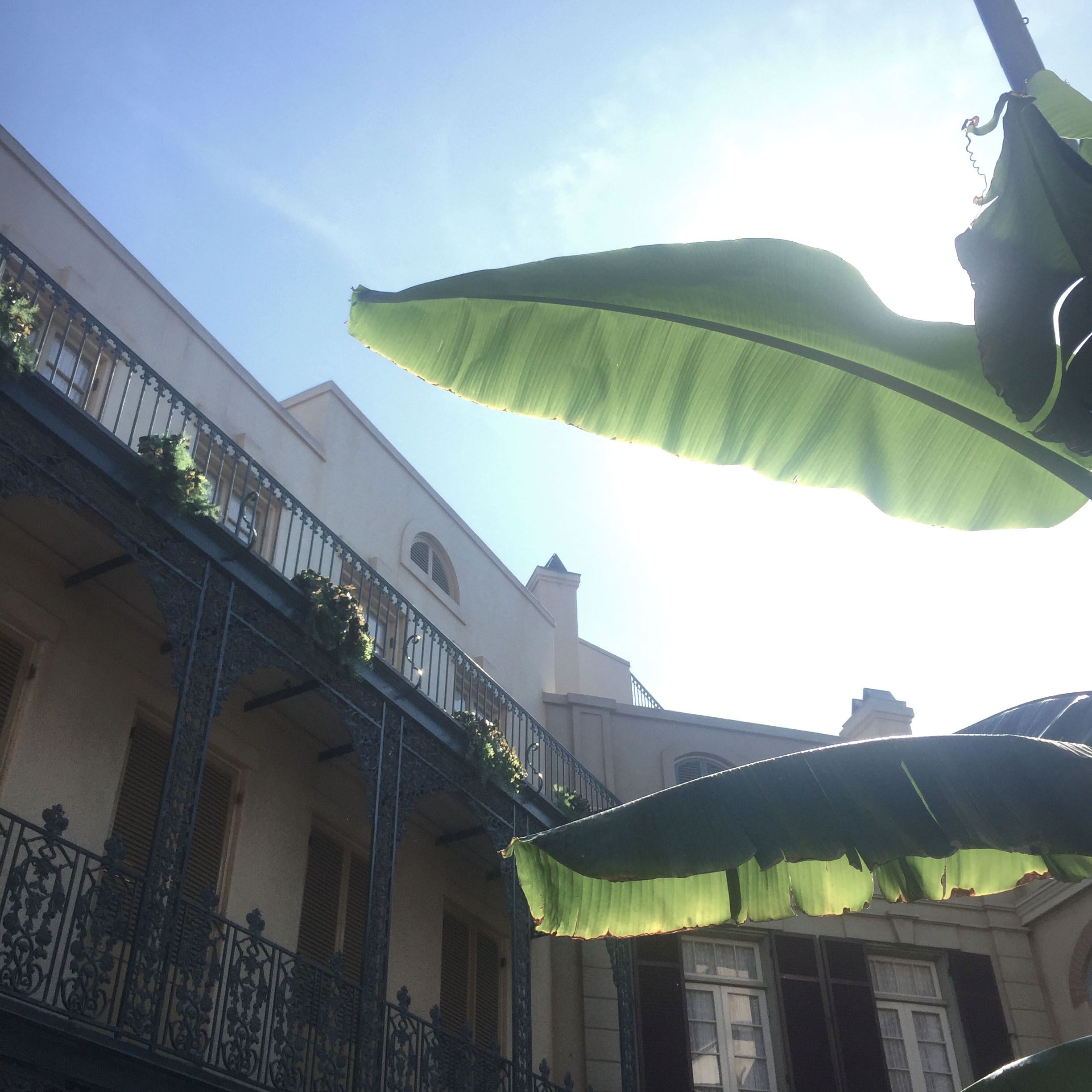 New Orleans Square Disneyland // Nattie on the Road