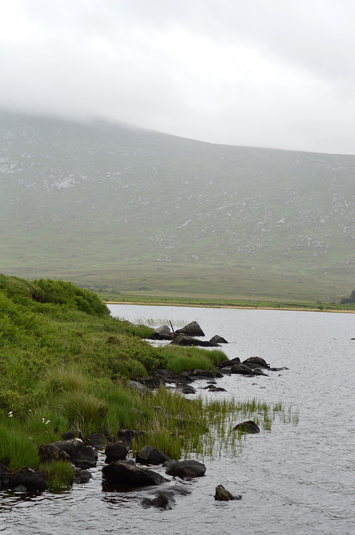 Foggy beautiful Ireland // Nattie on the Road