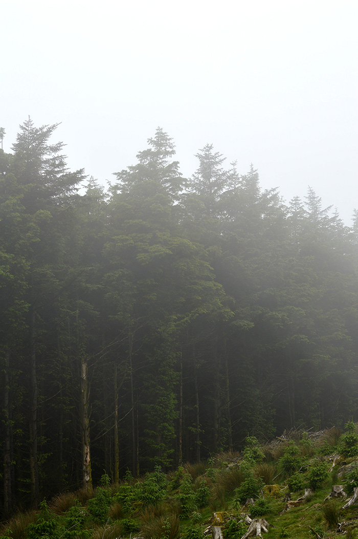 Find peace in the mist // Nattie on the Road
