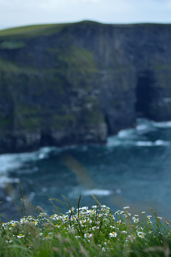Cliffs of Moher // Nattie on the Road