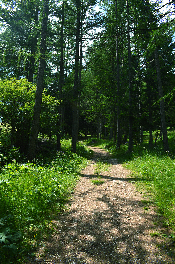 Hike any one of the numerous beautiful trails in the Dolomites // Nattie on the Road