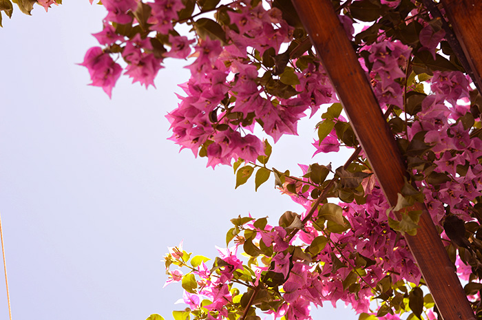 Explore beautiful Milos // Nattie on the Road