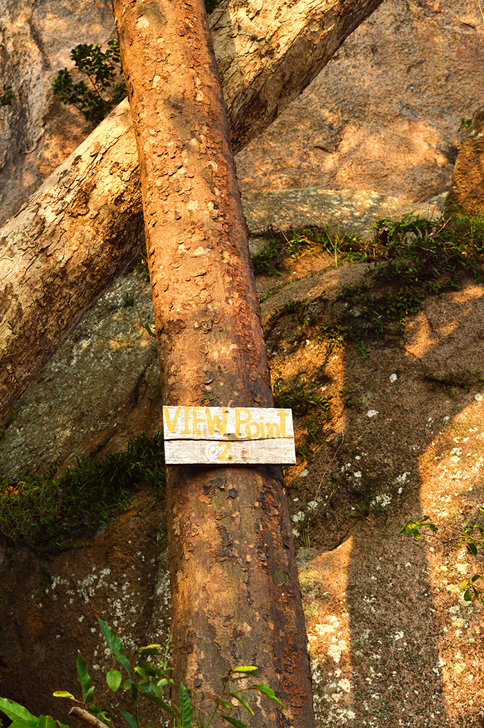 the view point // Nattie on the Road