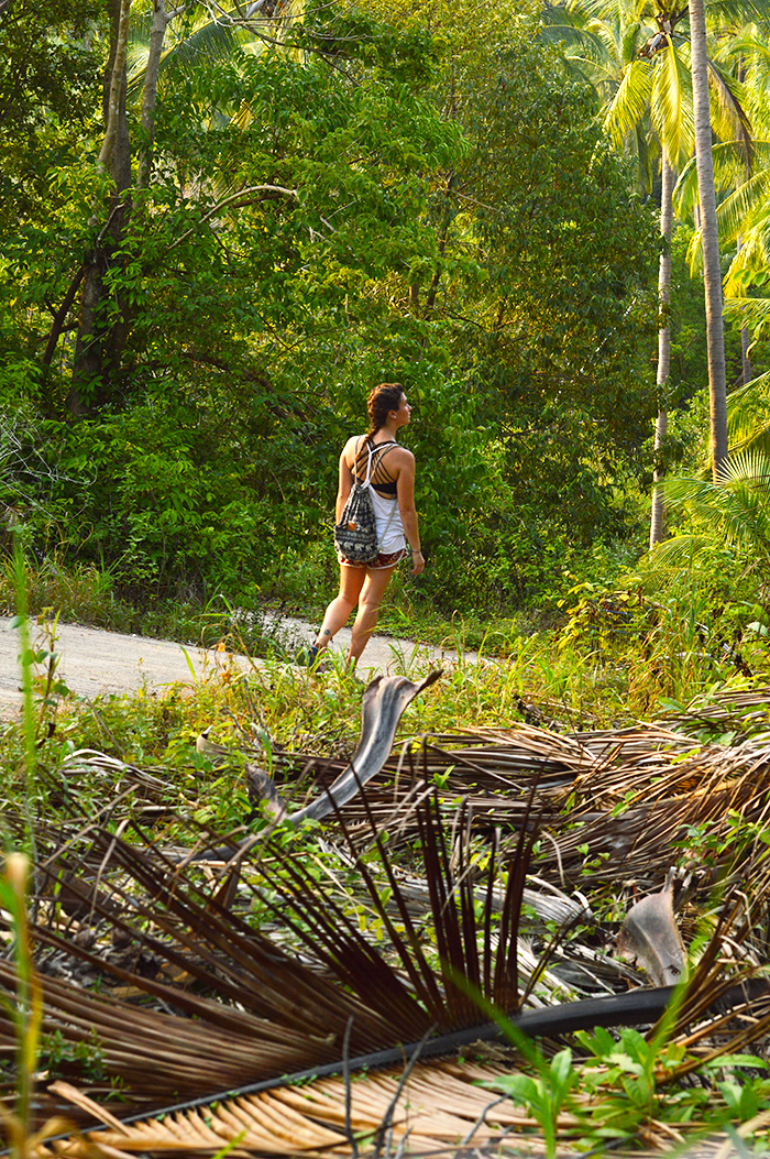 hiking through the jungle // Nattie on the Road