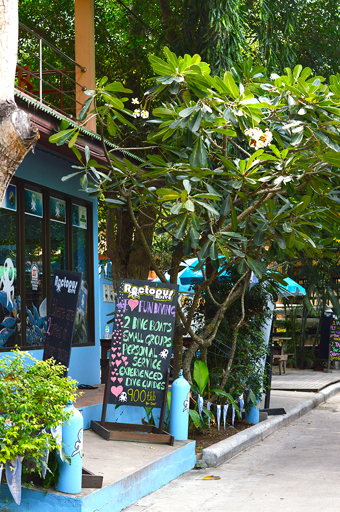 learn to scuba dive in Koh Tao // Nattie on the Road