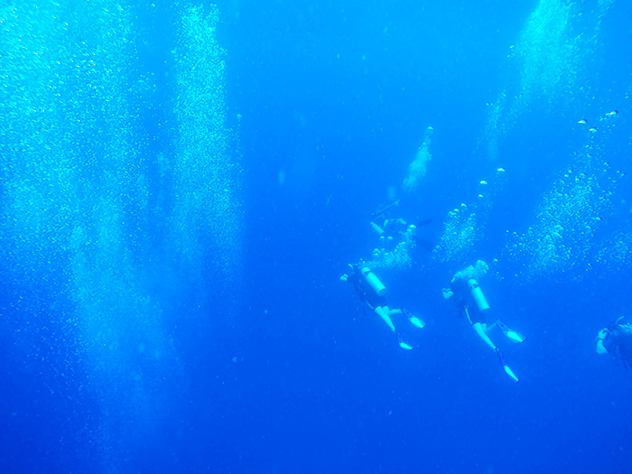 Learn to scuba dive in Koh Tao // Nattie on the Road