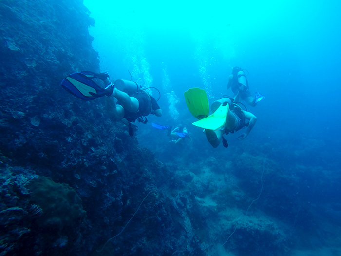 Learn to dive in Koh Tao Thailand
