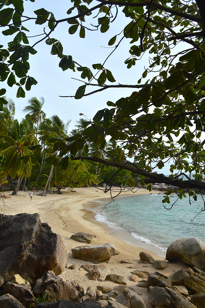 Sai Nuan Beach - Koh Tao Thailand