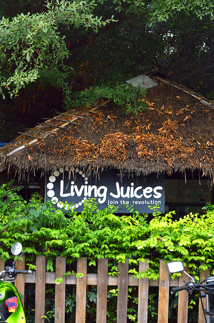 Living Juices - Koh Tao Thailand