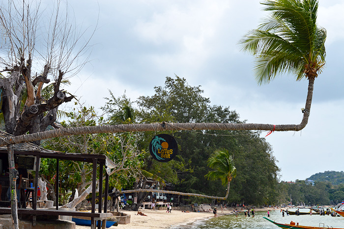 Lotus Bar - Koh Tao Thailand