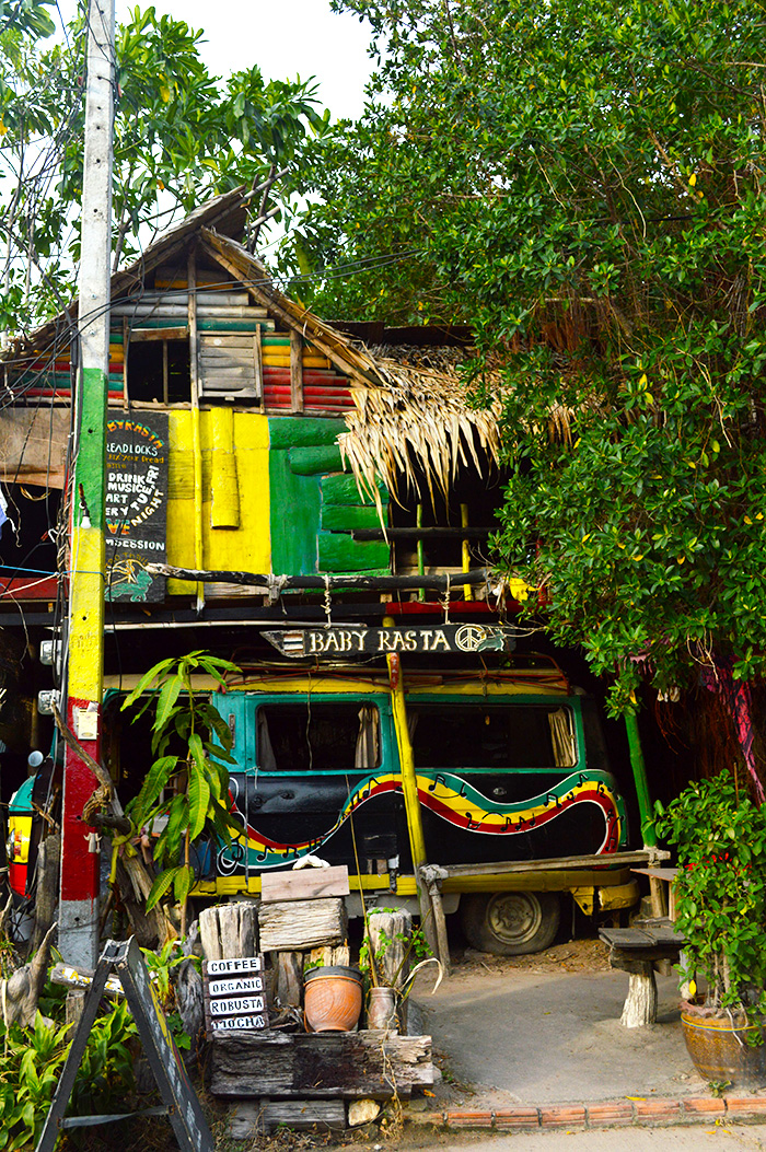 Baby Rasta - Koh Tao Thailand