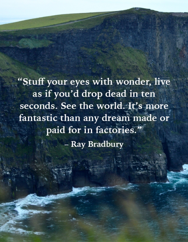 “Stuff your eyes with wonder, live as if you’d drop dead in ten seconds. See the world. It’s more fantastic than any dream made or paid for in factories.” – Ray Bradbury