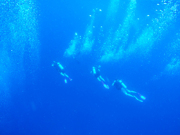 learning to scuba dive in Koh Tao