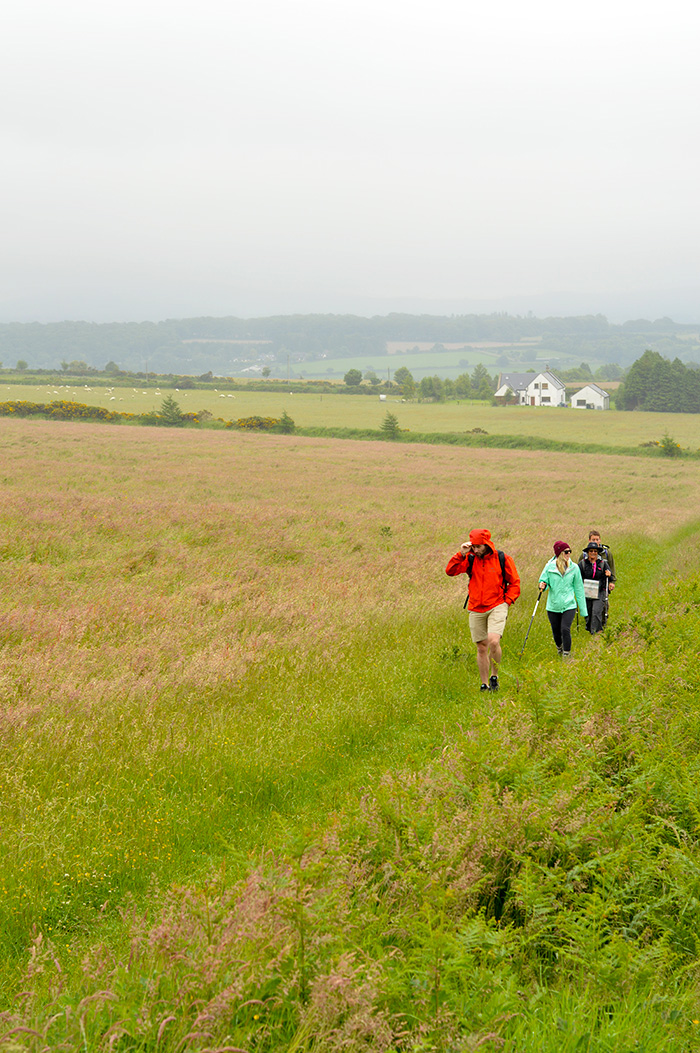 The Wicklow Way, Ireland