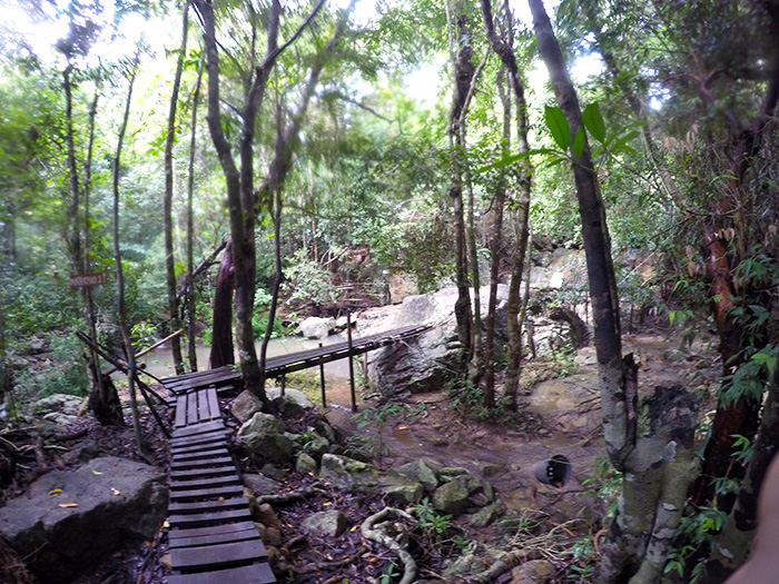 Hikes through the jungle in Koh Samui