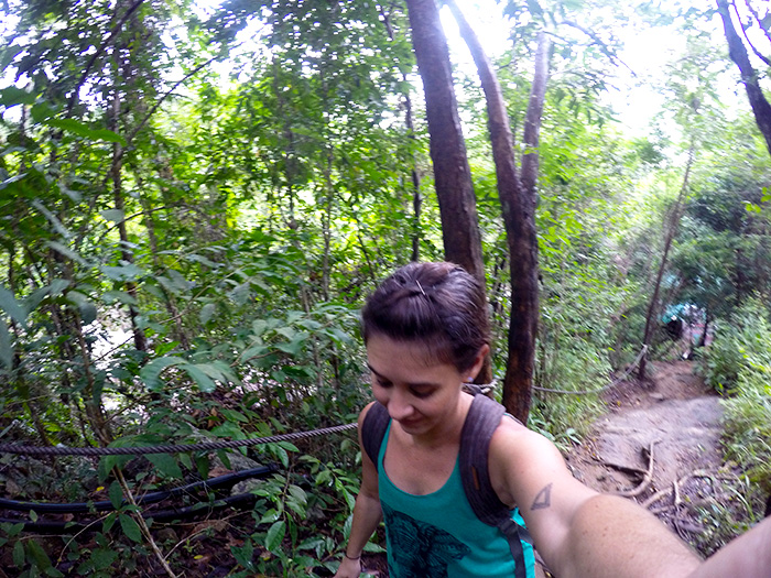 Hikes through the jungle in Koh Samui