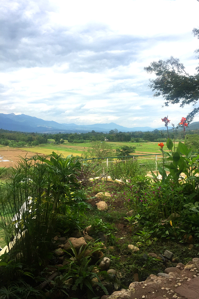 Open Mind Meditation Center, Pai