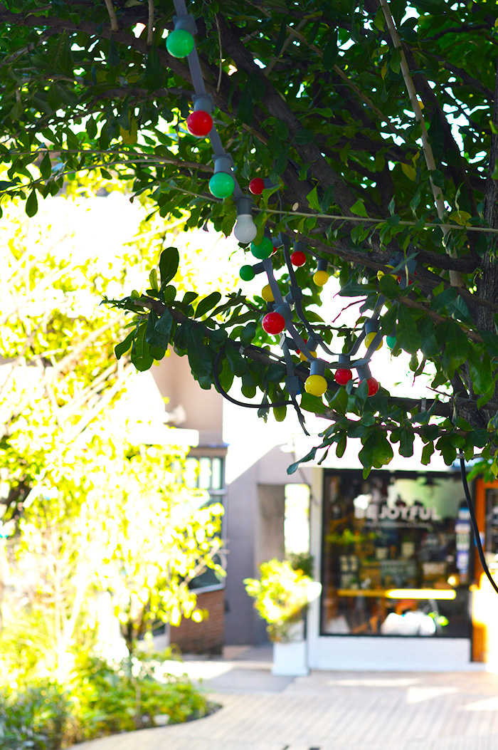 Explore Nimman, Chiang Mai's Hipster Neighborhood