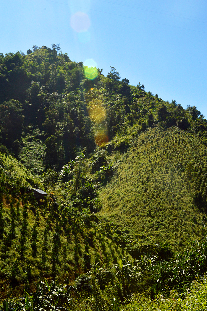 trekking through rural Myanmar