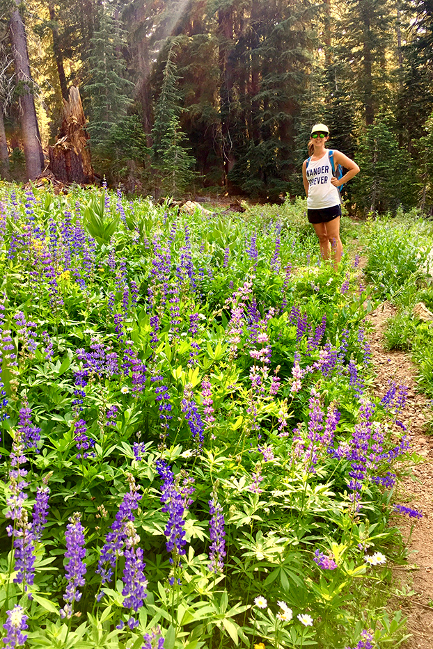 hiking in the wild flowers