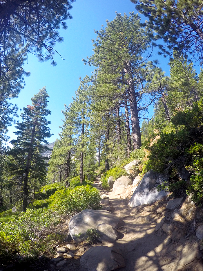 Take a hike in Lake Tahoe