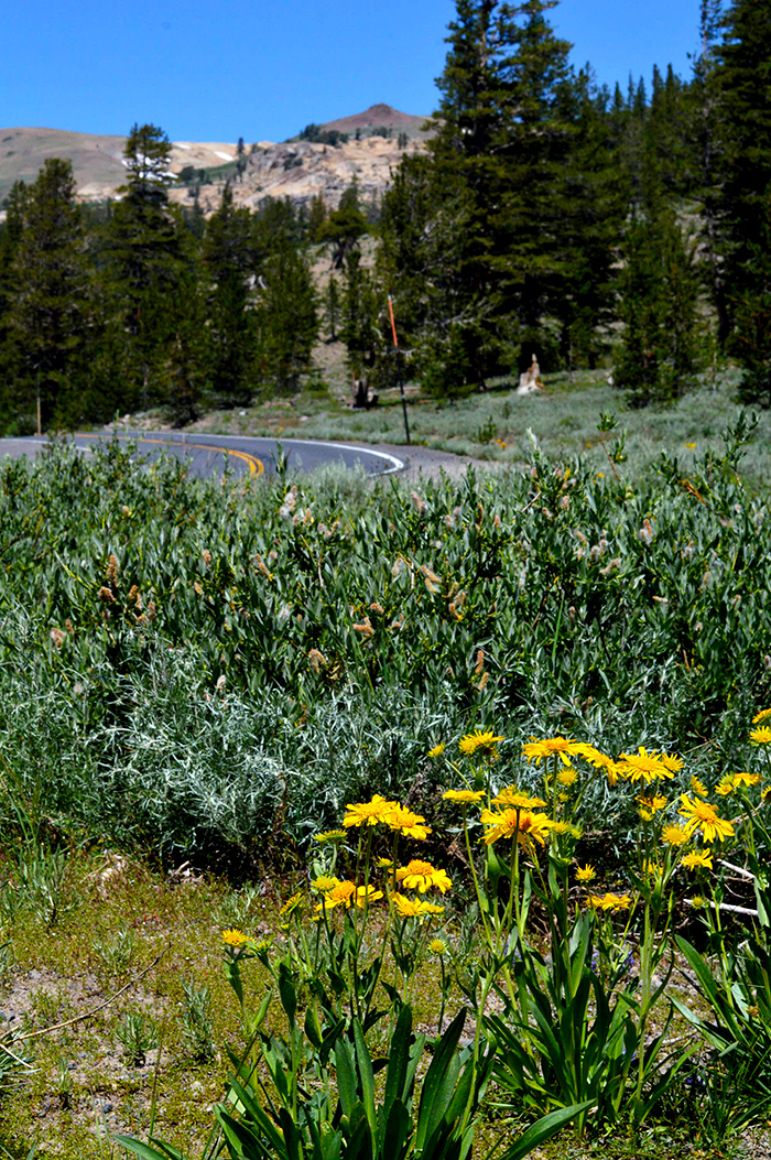 beauty is all around us