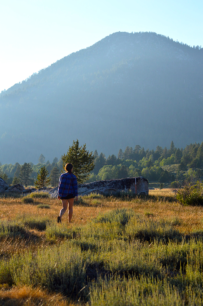 Take a wander and see what you see