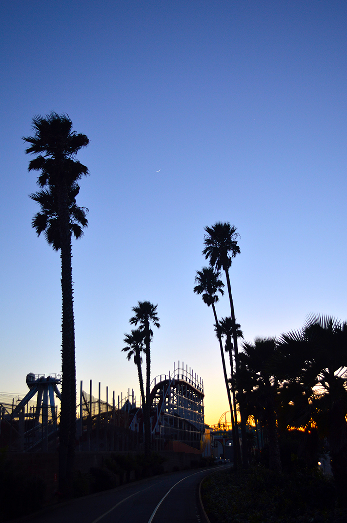 Santa Cruz Beach Boardwalk