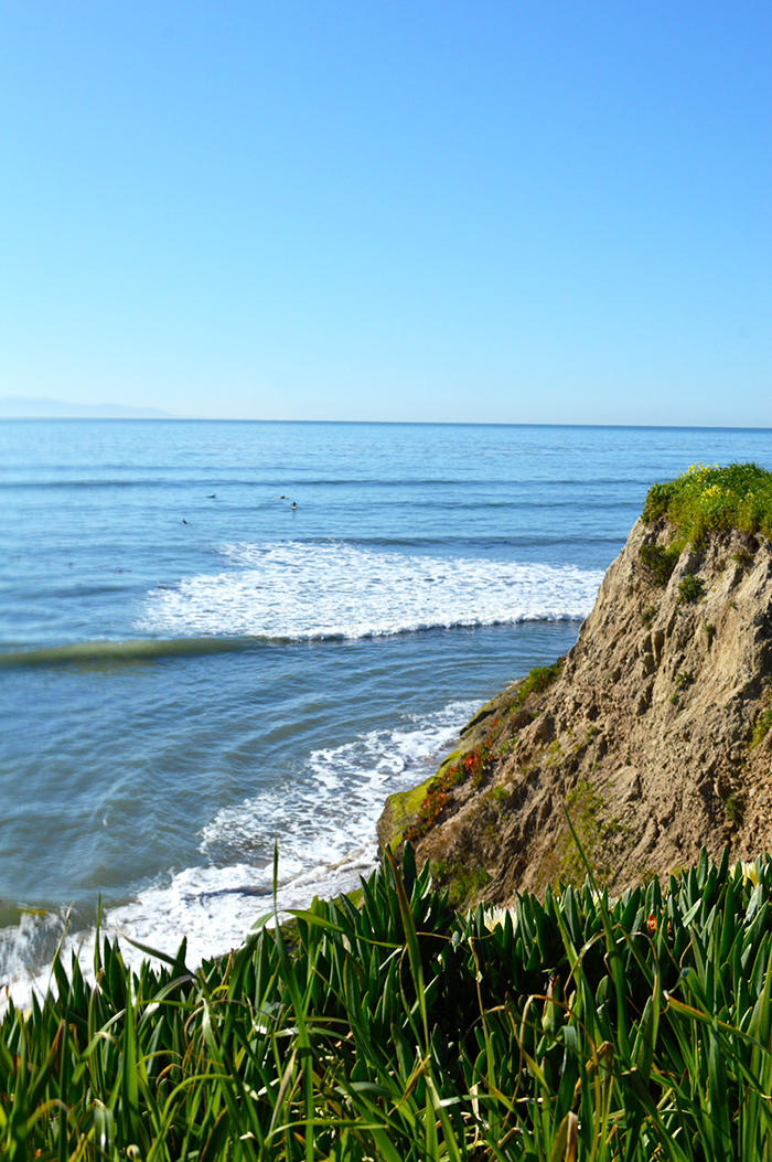 Pleasure Point, Santa Cruz