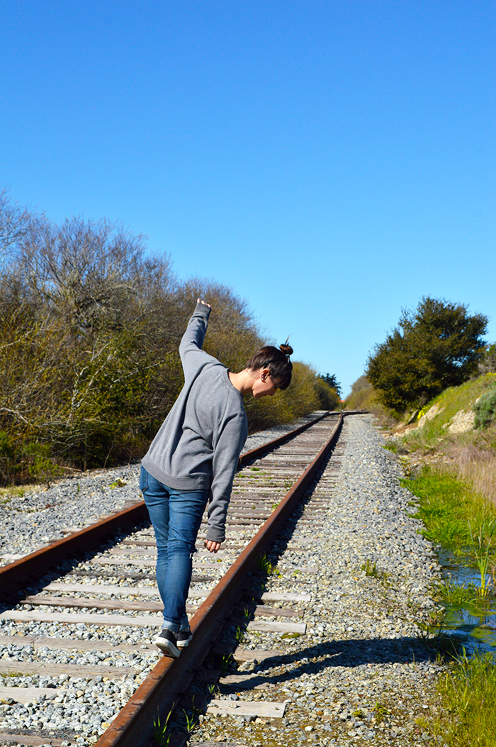 Wilder Ranch State Park