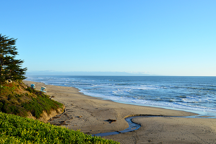Manresa State Beach