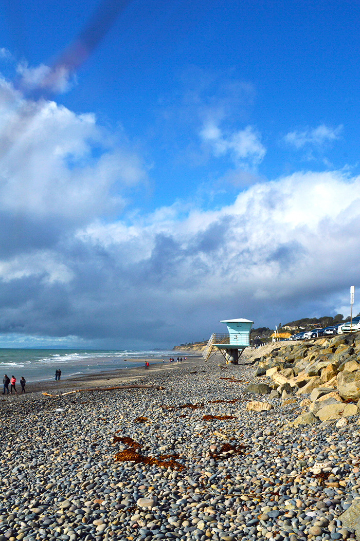 Torrey Pines State Beach