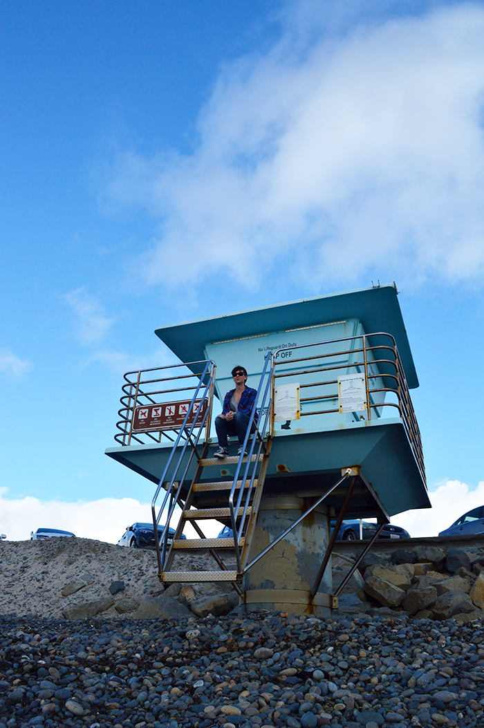 Torrey Pines State Beach