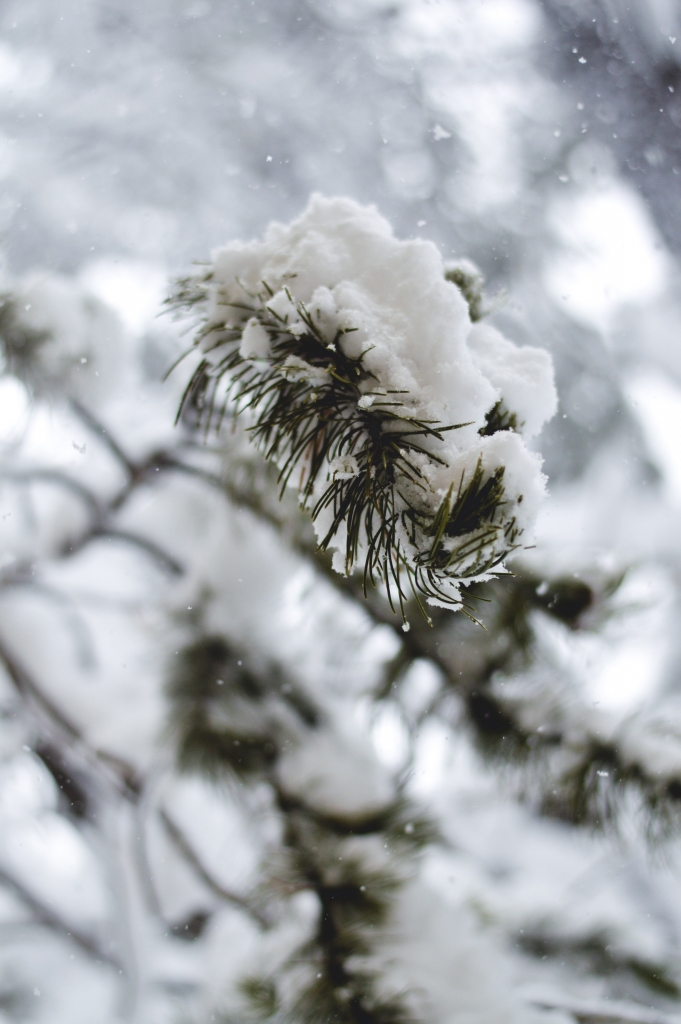 Lake Tahoe in winter
