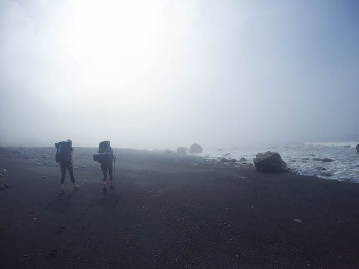 Foggy morning on the Lost Coast Trail
