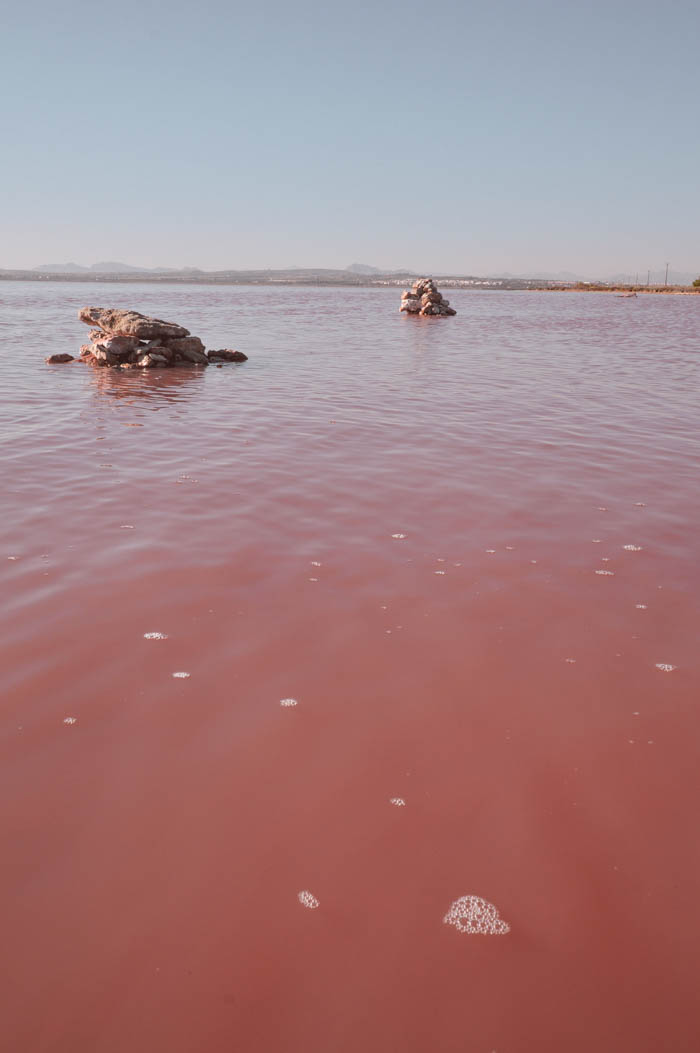 Lago Rosa, Torrevieja Spain