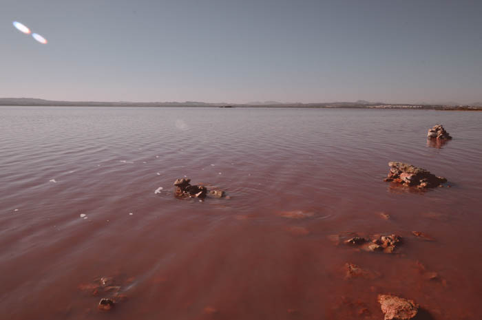 Lago Rosa, Torrevieja Spain