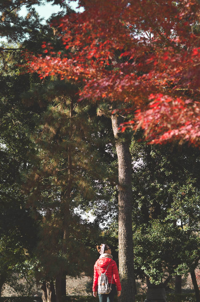 Imperial Palace and park, Kyoto