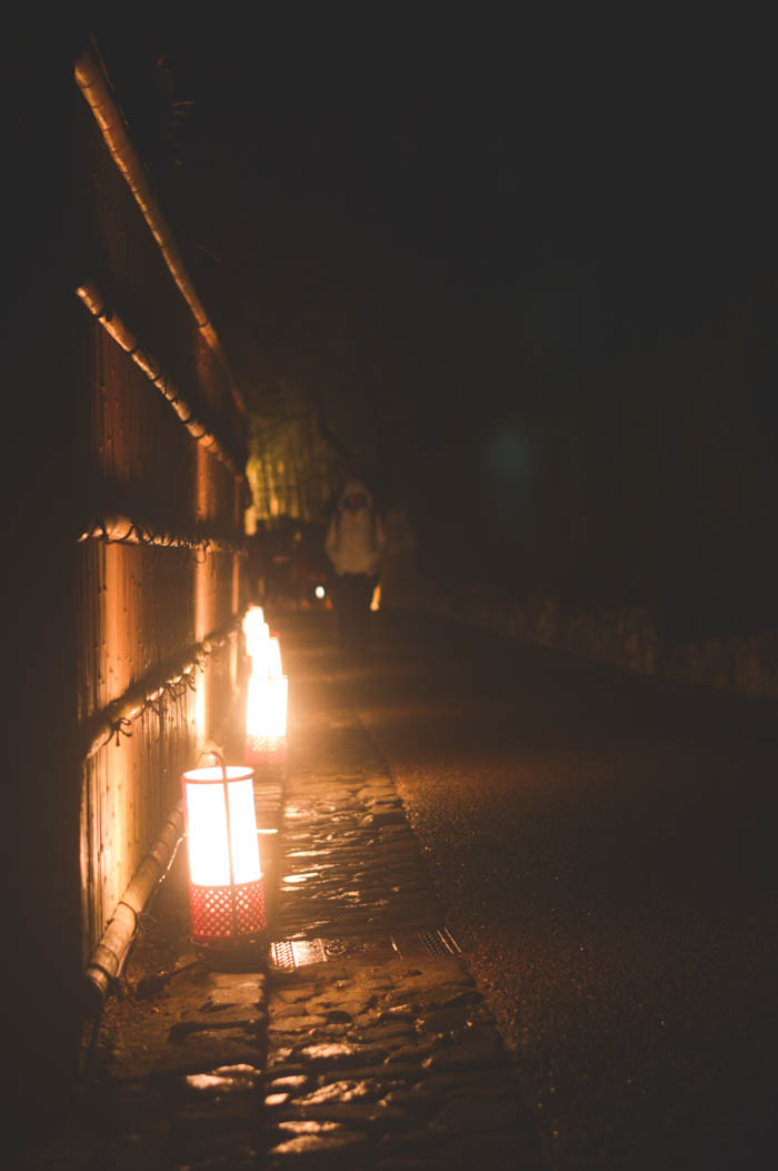 Bamboo Forest - Light Festival, Kyoto