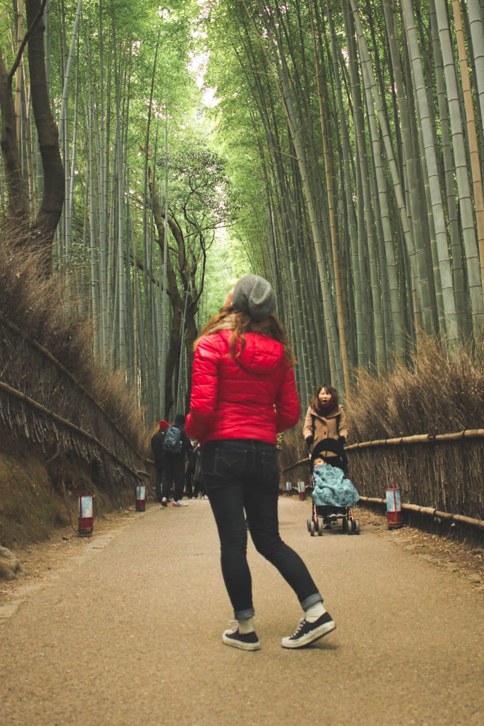 Bamboo Forest, Kyoto