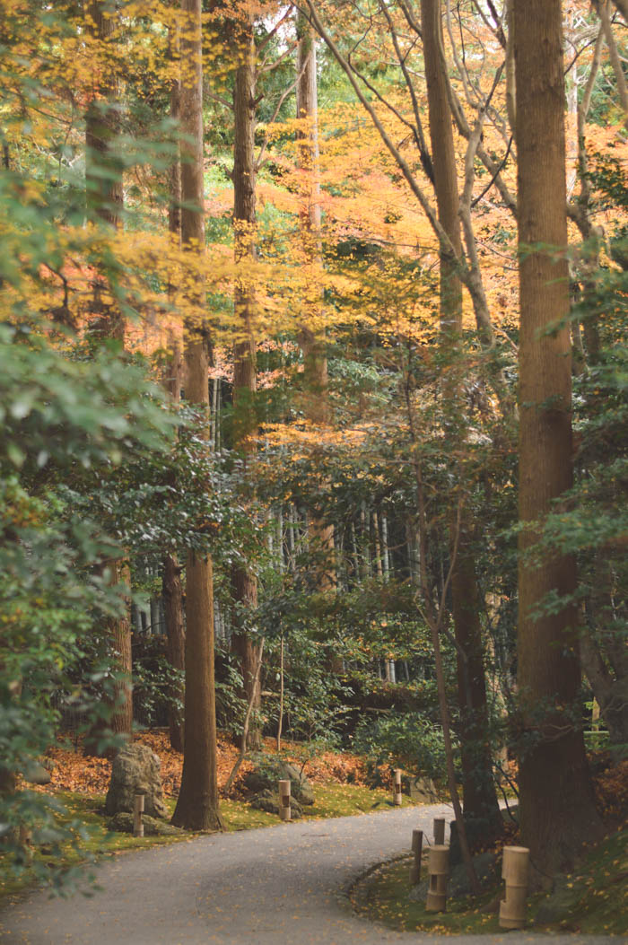 Okochi-Sanso Villa, Kyoto