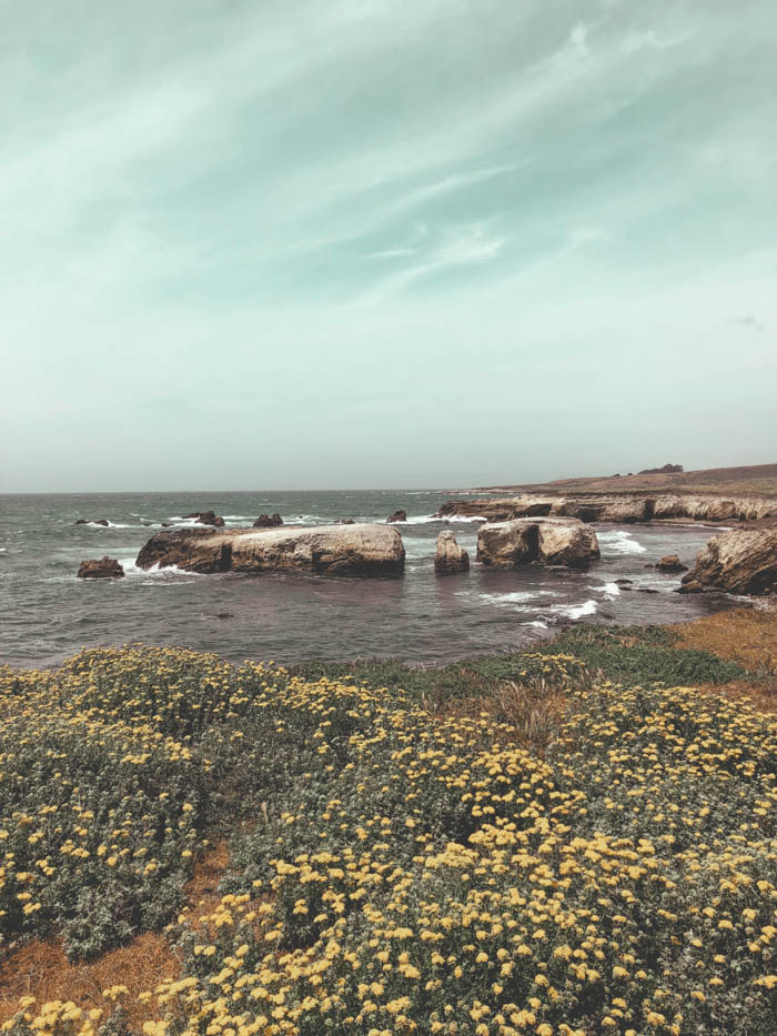 Buchon Point Trail, Los Osos