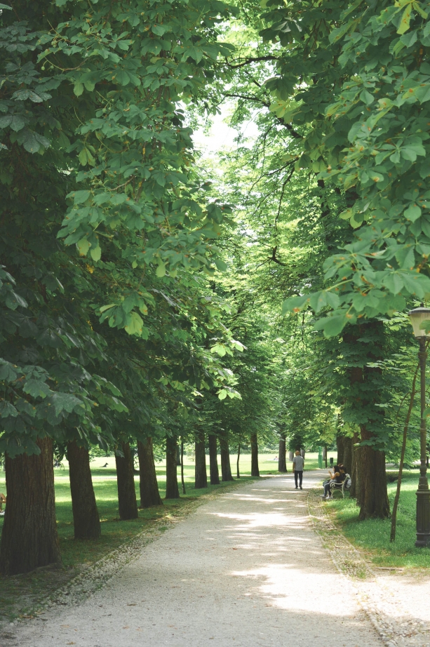 beautiful green spaces in Slovenia