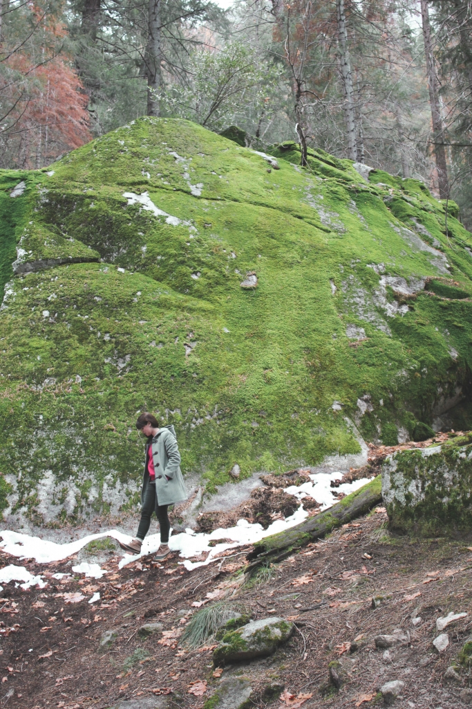 Yosemite National Park