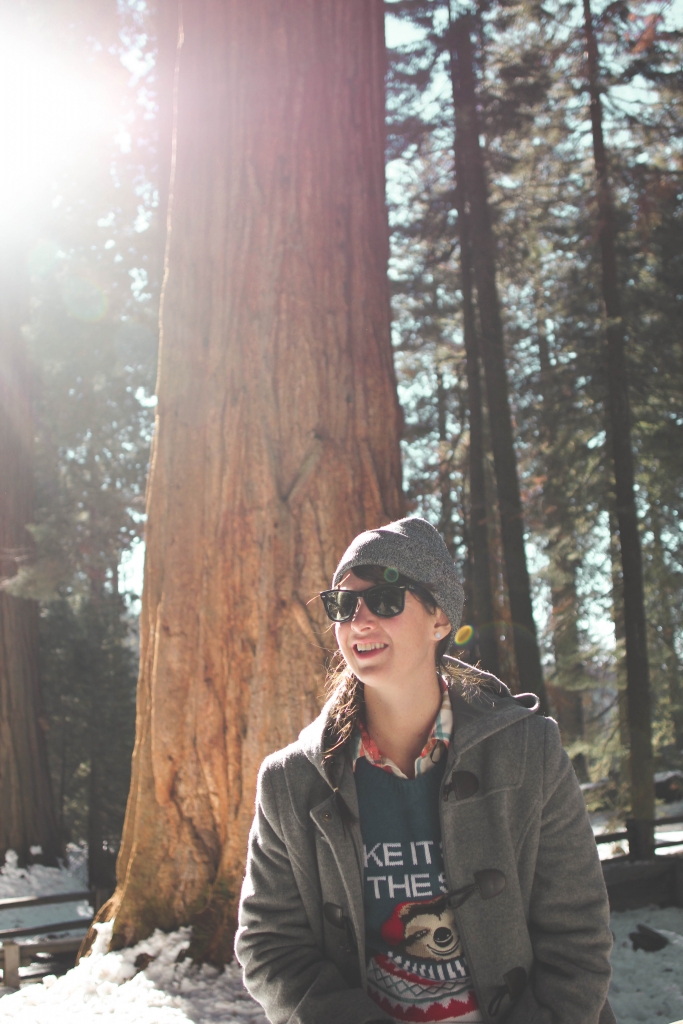 Sequoia Kings Canyon National Park