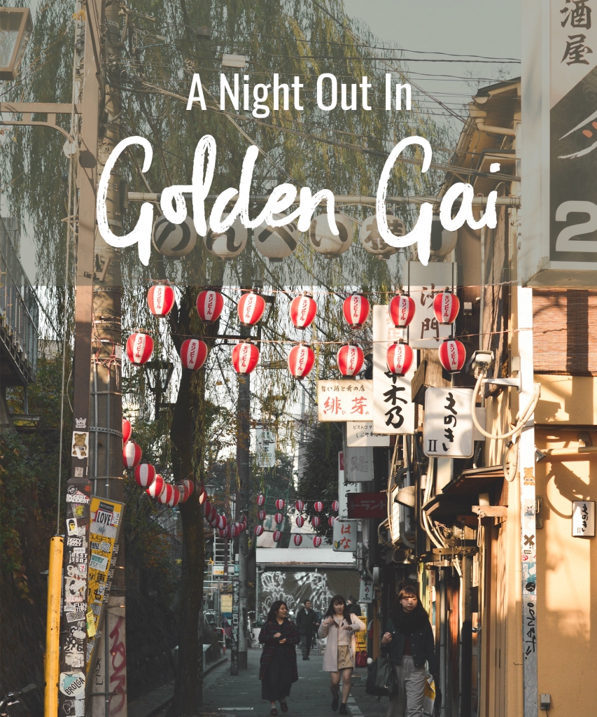A Night Out in Golden Gai