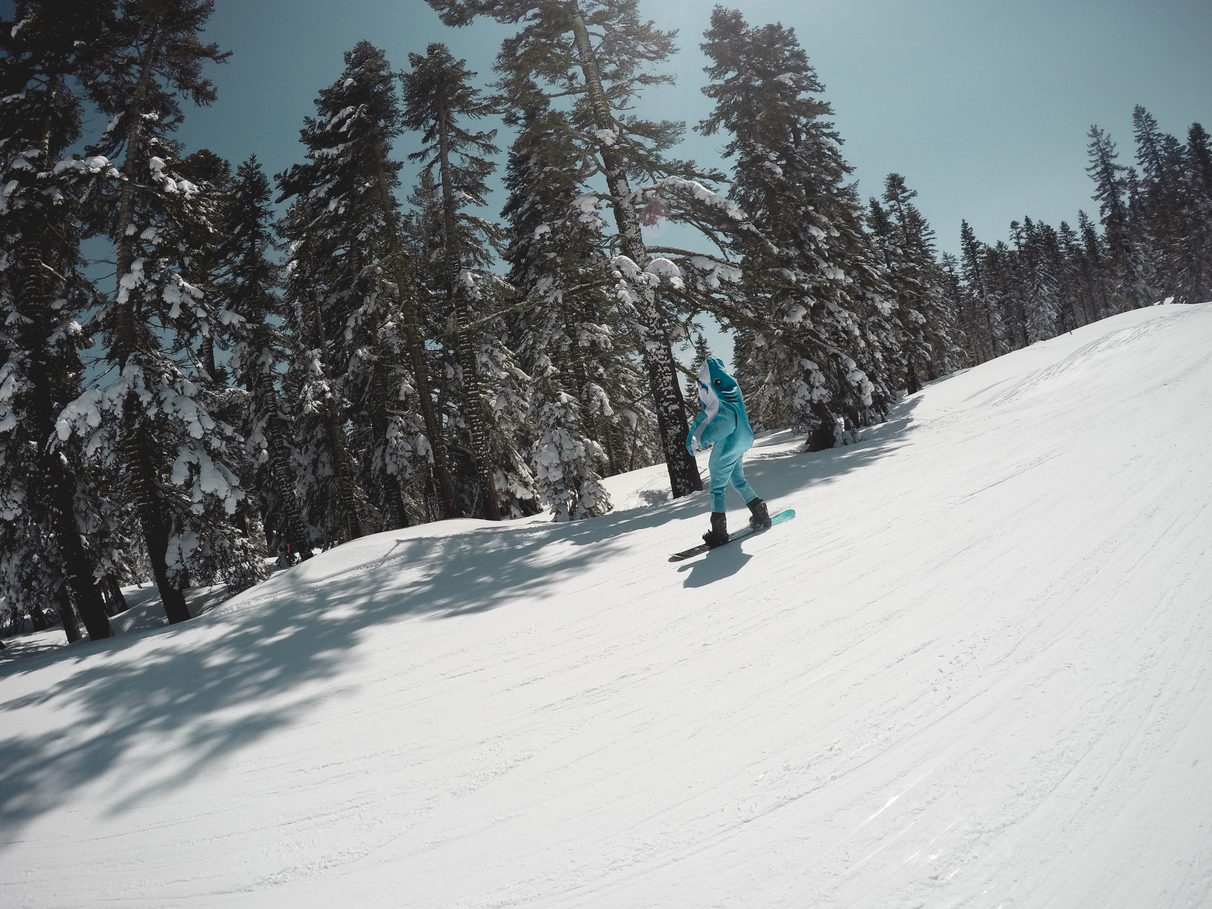 Skiing & snowboarding in Tahoe