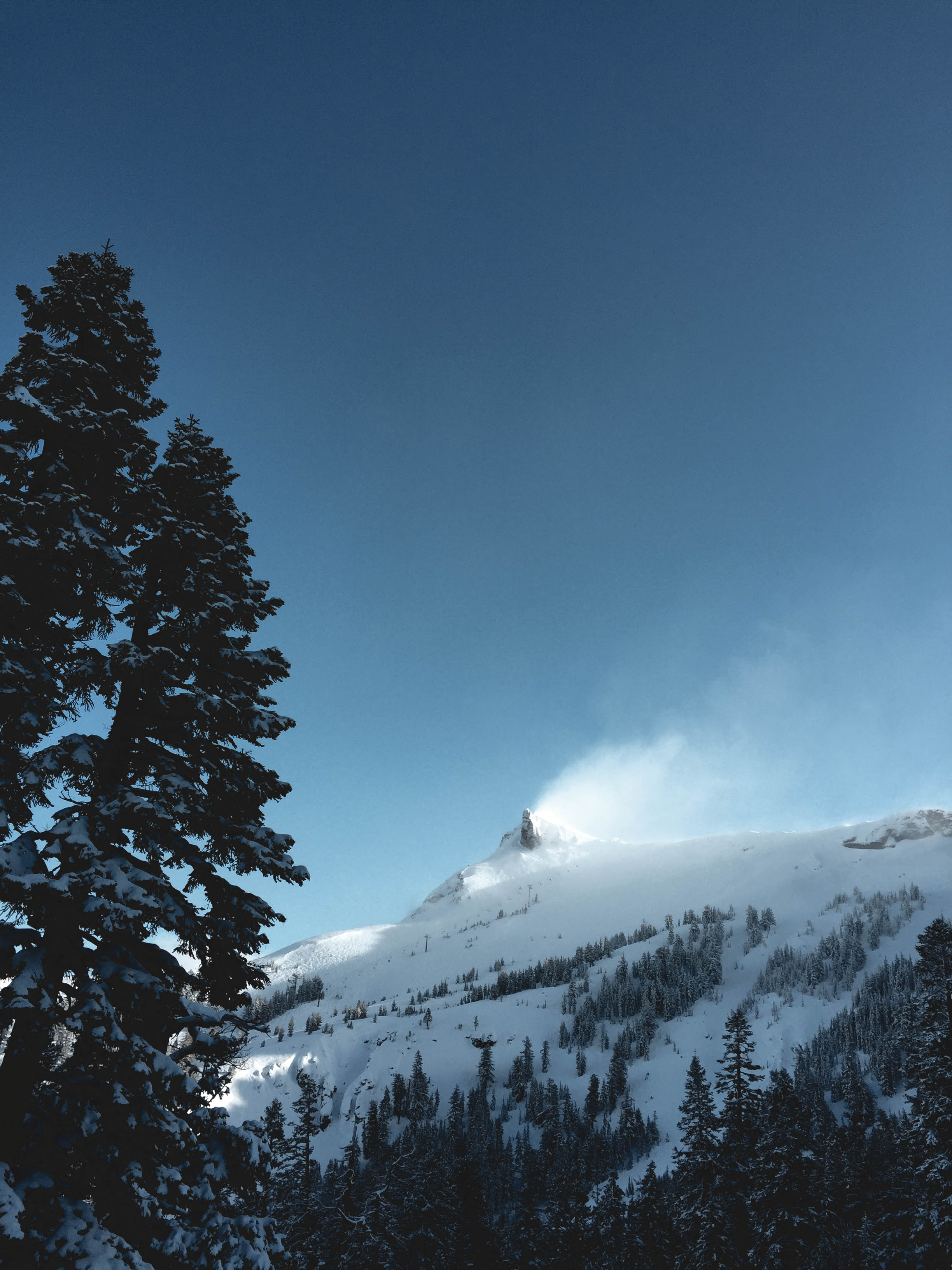 Skiing & snowboarding in Tahoe