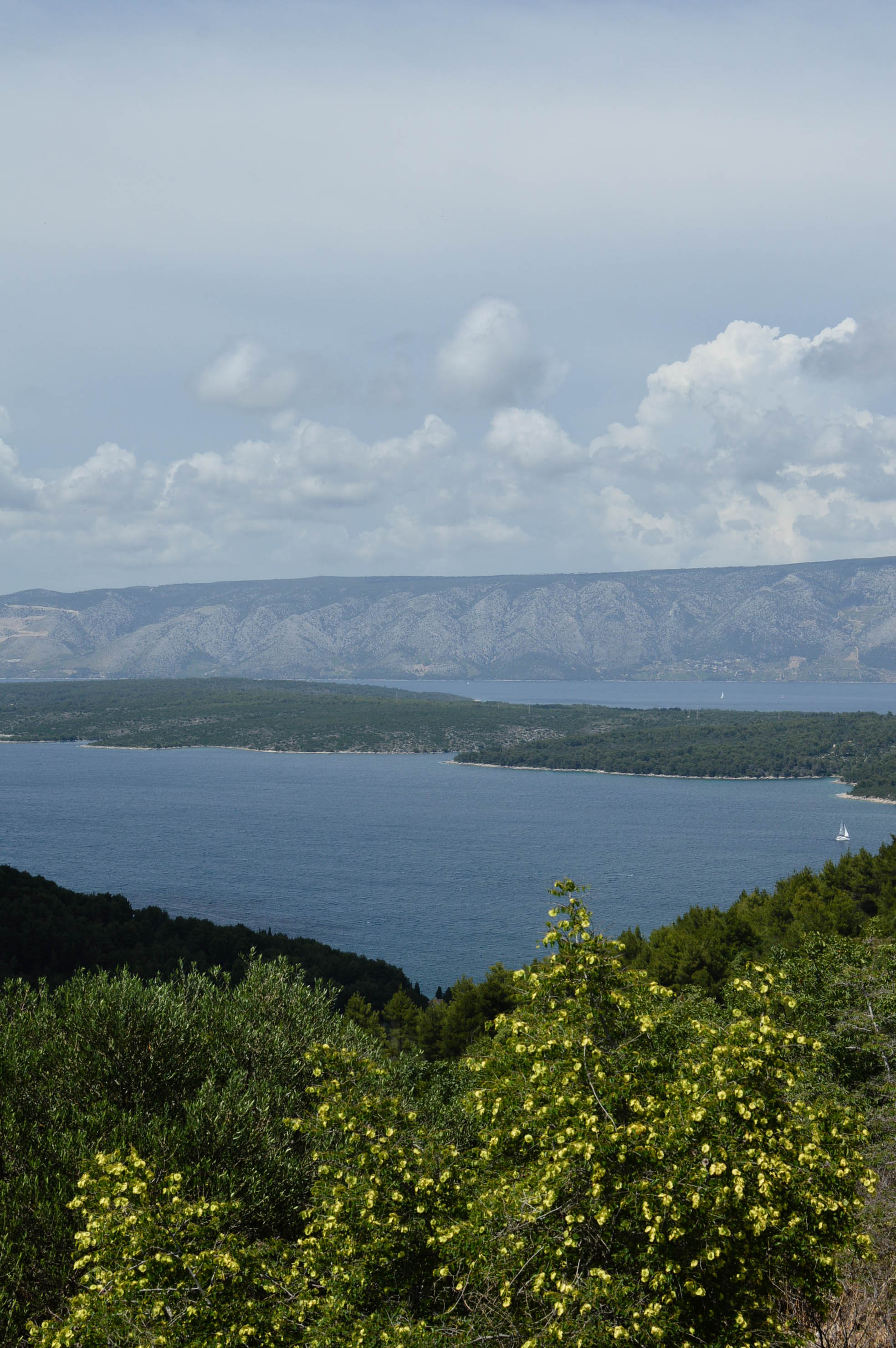 Explore Hvar by Scooter